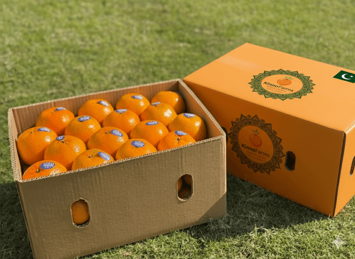 Premium Kinno (10kg Carton)